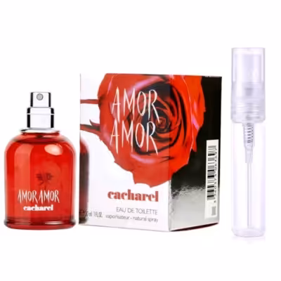 عطر آمور آمور گرمی