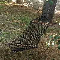 تاب ننو بزرگسال