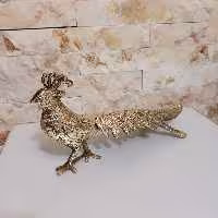 طاووس برنزی