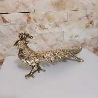 طاووس برنزی