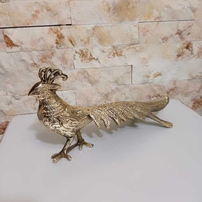 طاووس برنزی