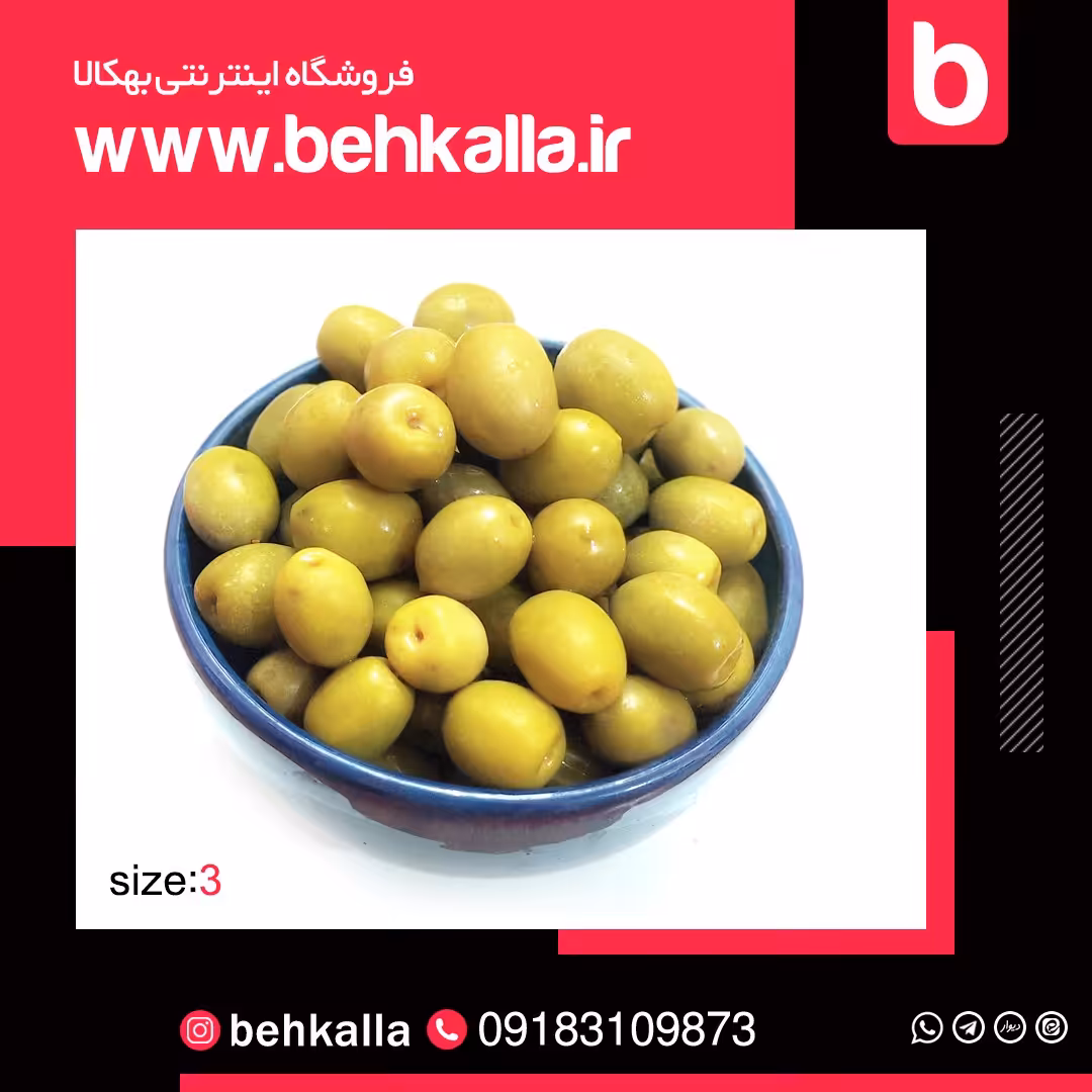 زیتون سایز 3