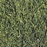 سبزی خشک شوید - (فله 1 کیلویی)- محصولی از برند صادراتی فردوس ناب