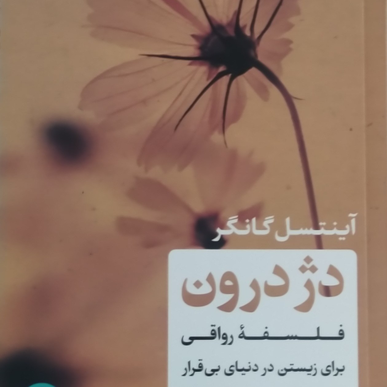 کتاب دژ درون، فلسفه رواقی برای زیستن در دنیای بیقرار، اثر آینتسل گانگر