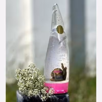 ژل آبرسان شاخکی حلزون بیوآکوا 260 میل