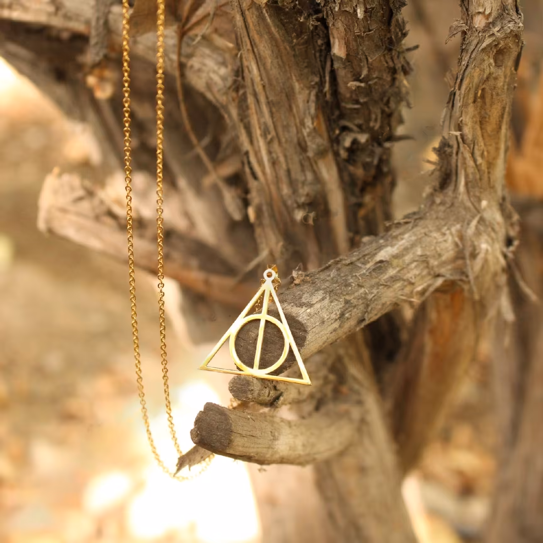 گردنبند یادگاران مرگ هری پاتر