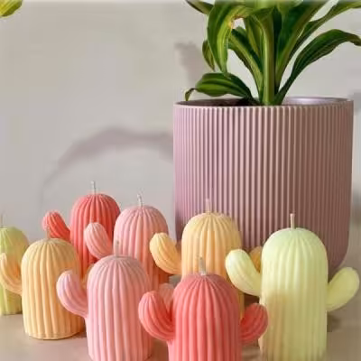 شمع طرح کاکتوس کد 2011