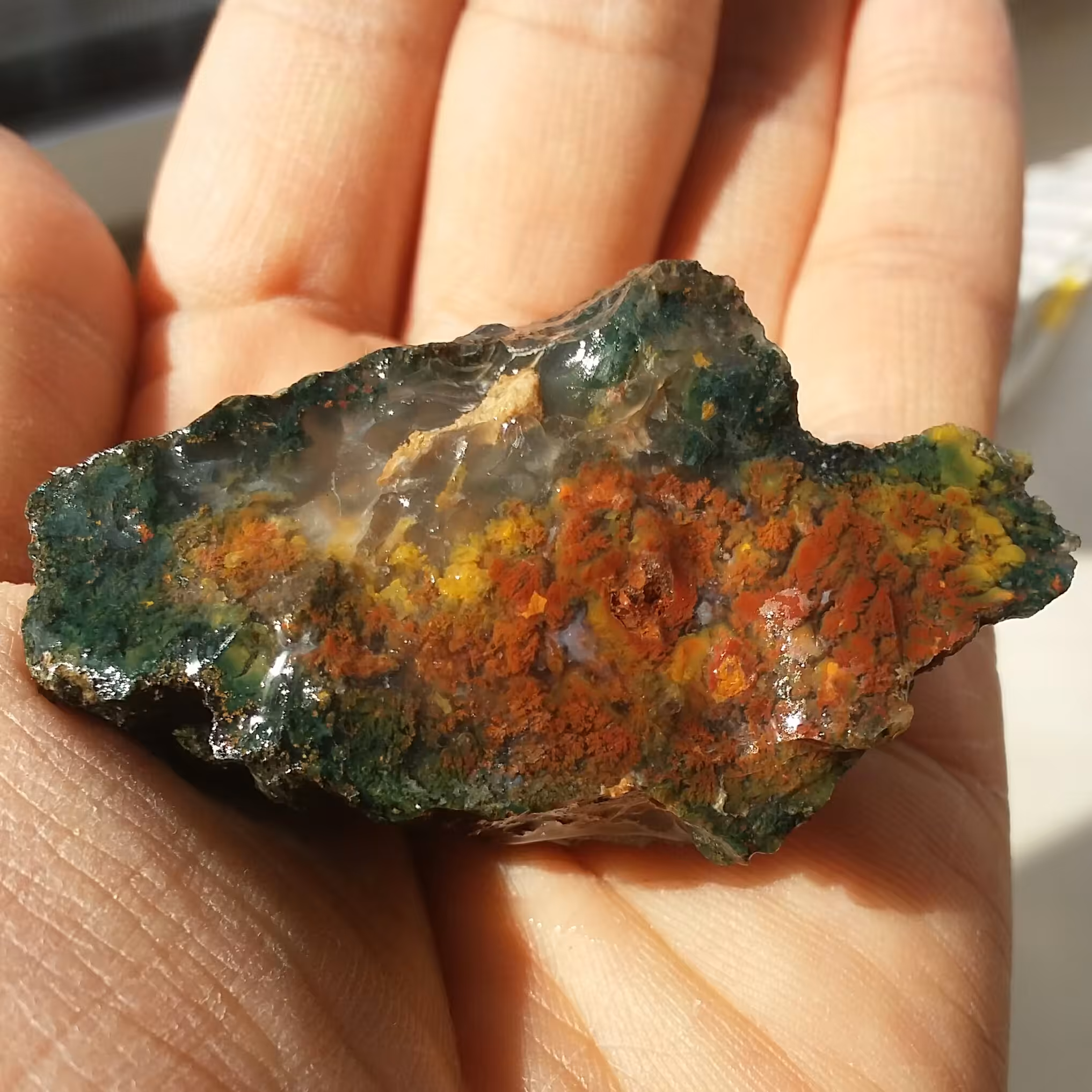 سنگ راف شجر منظره 7رنگ دیدنی کاملا طبیعی شاهکار خلقت بی نظیییر