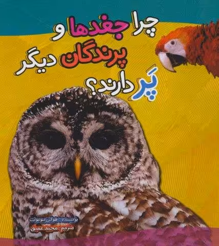 چرا جغدها و پرندگان دیگر پر دارند؟ (گلاسه)