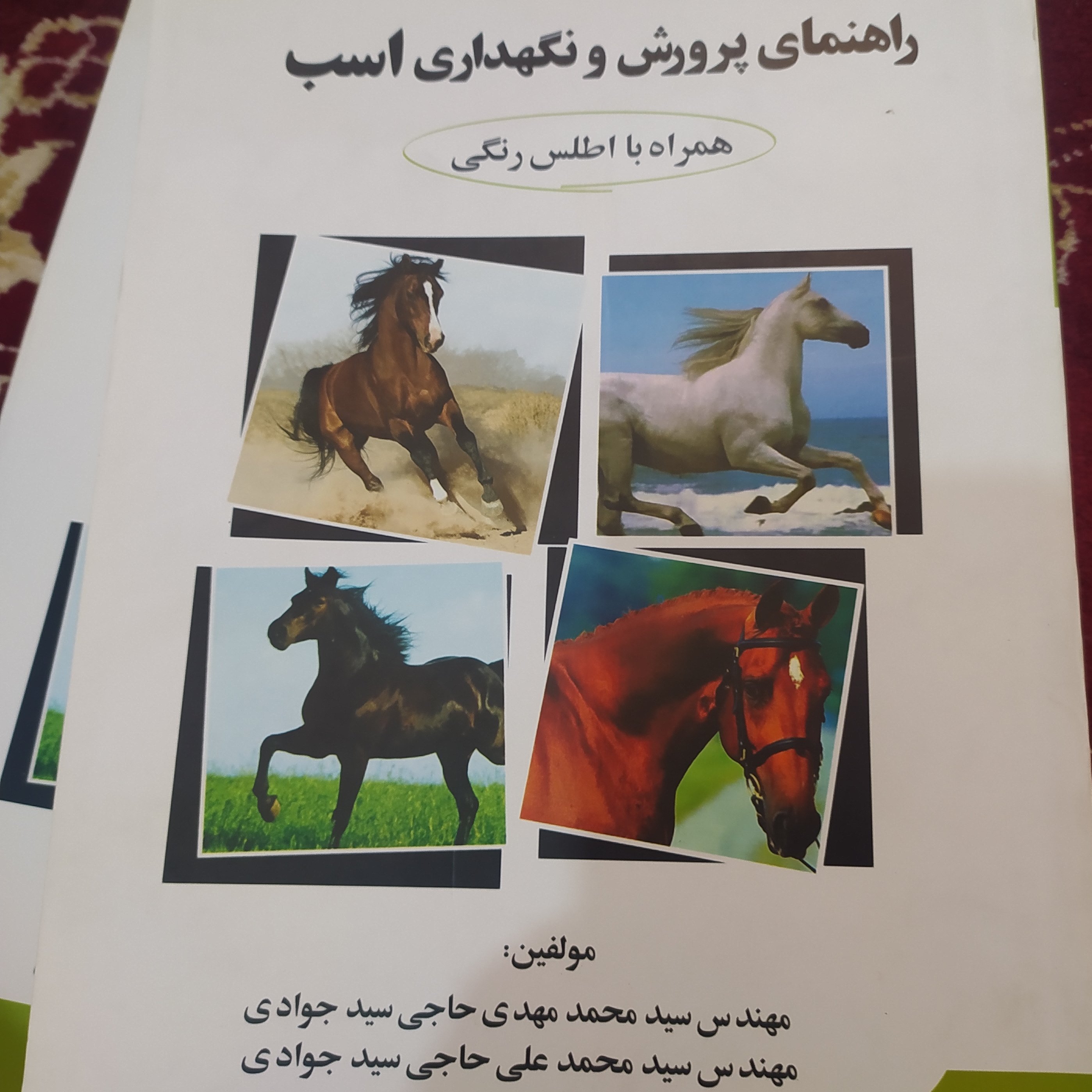 راهنمای پرورش و نگهداری اسب همراه اطلس رنگی 