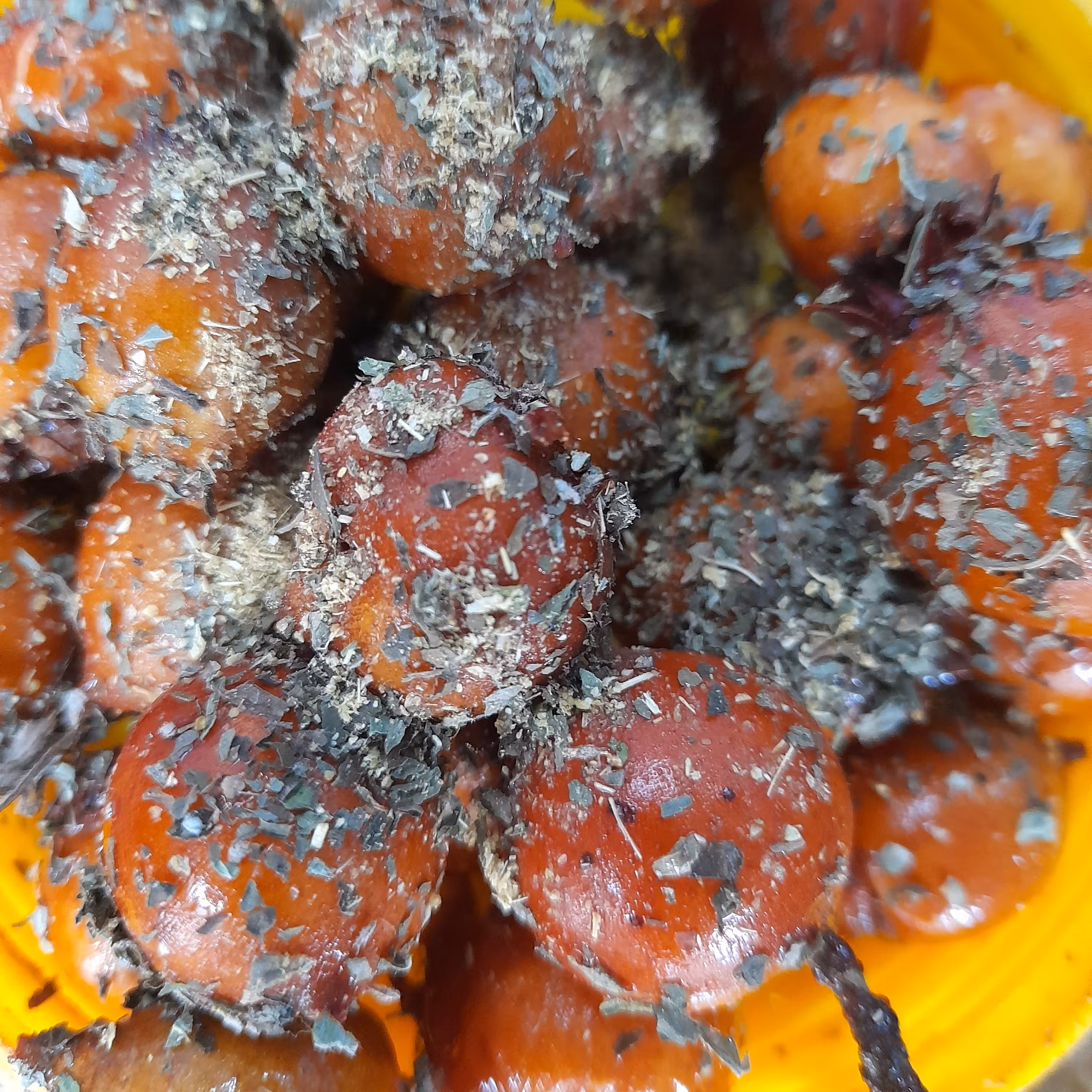 ازگیل شور جنگلی (850گرمی)