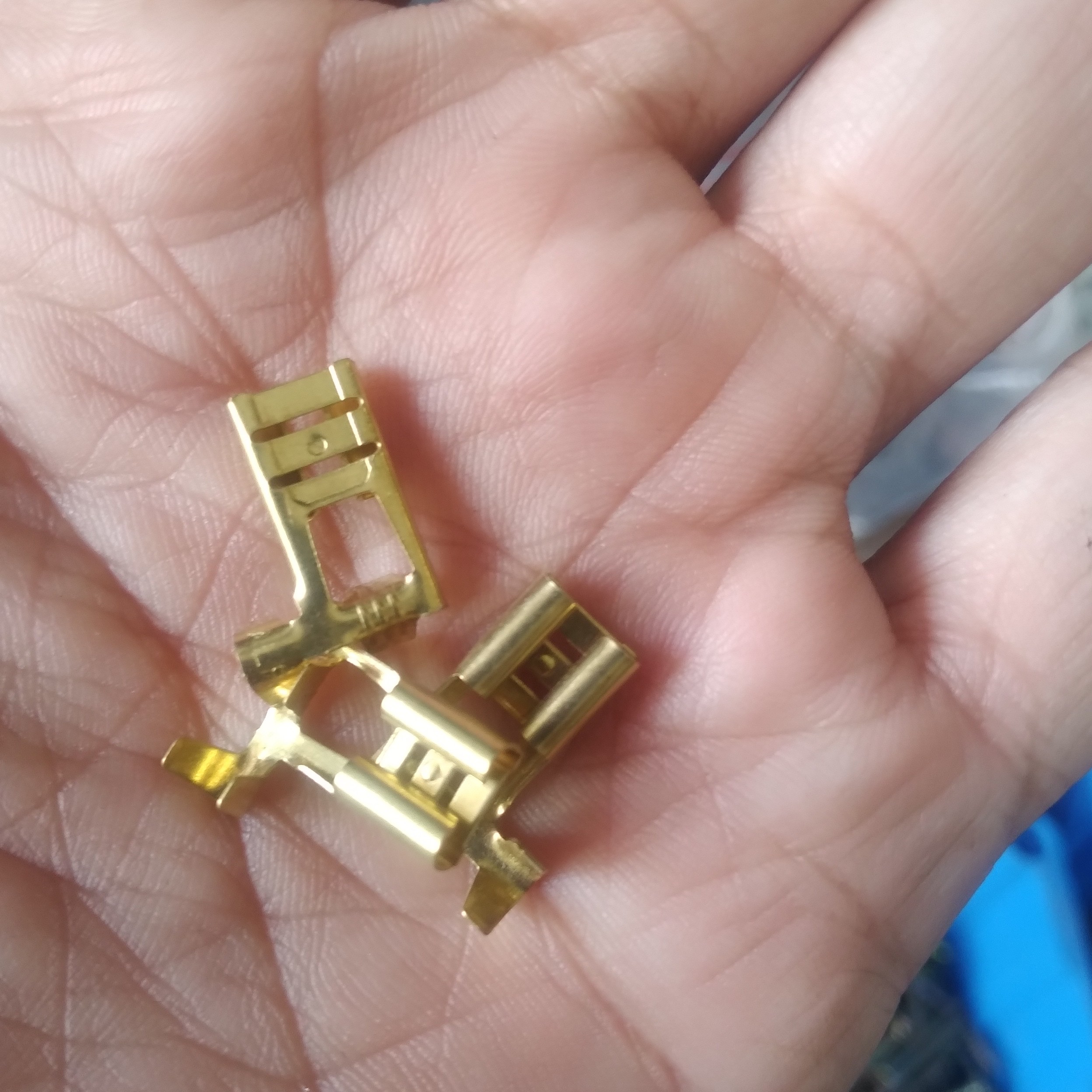 فیش کولری مادگی پرچمی