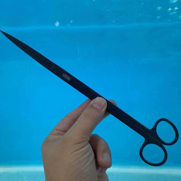 قیچی هرس گیاهان آبزی 34 سانتی ایستا (باکیفیت)