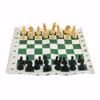 بازی فکری رومیزی پاسارگاد تویز مدل شطرنج کلاسیک 