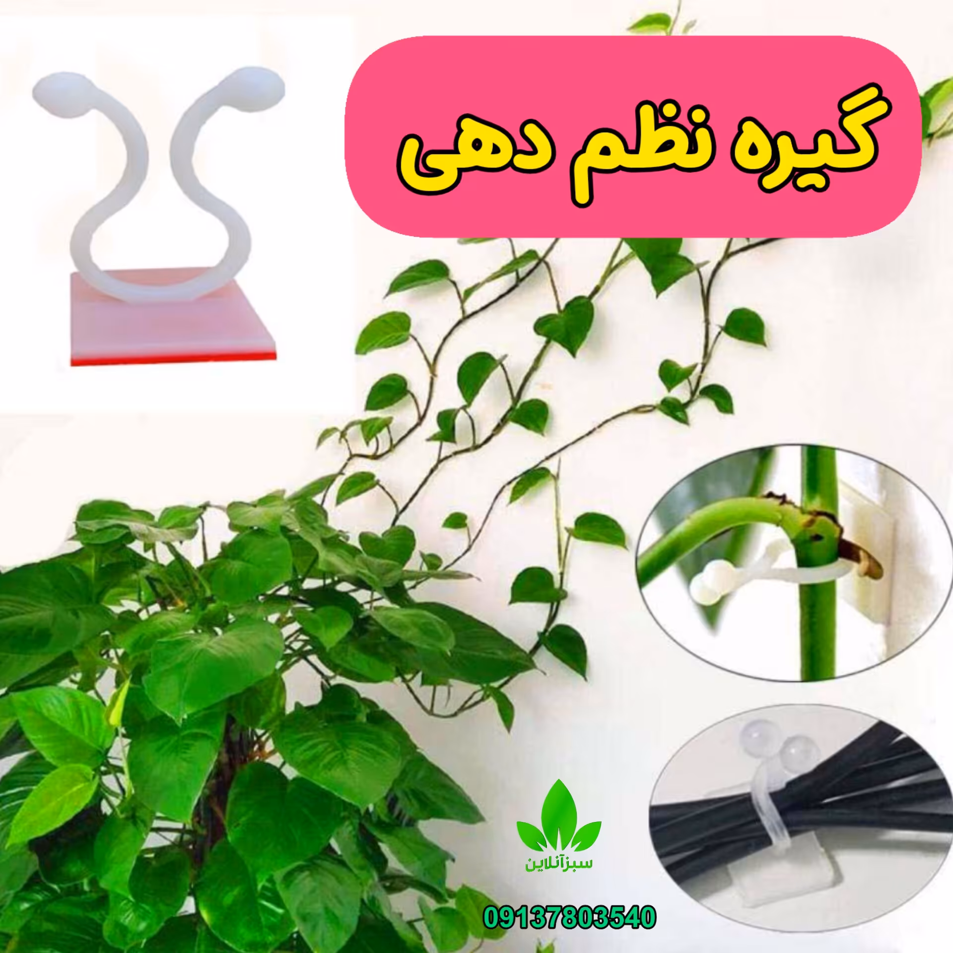 گیره نظم دهنده پتوس و گیاهان رونده 50عددی( نظم دهنده سیم و کابل)