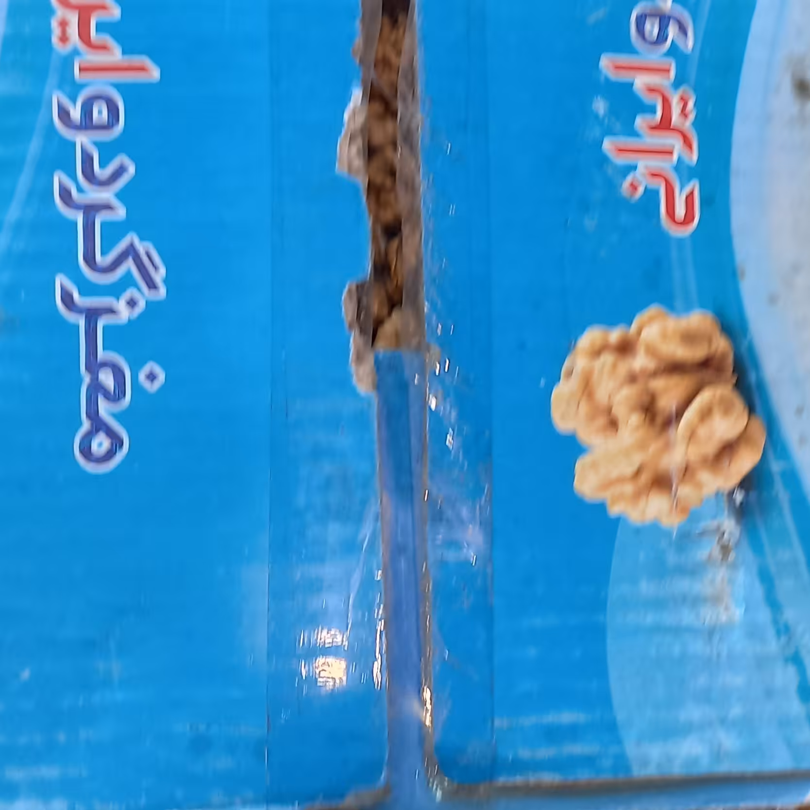 مغز گردو جعبه 5کیلویی  است 