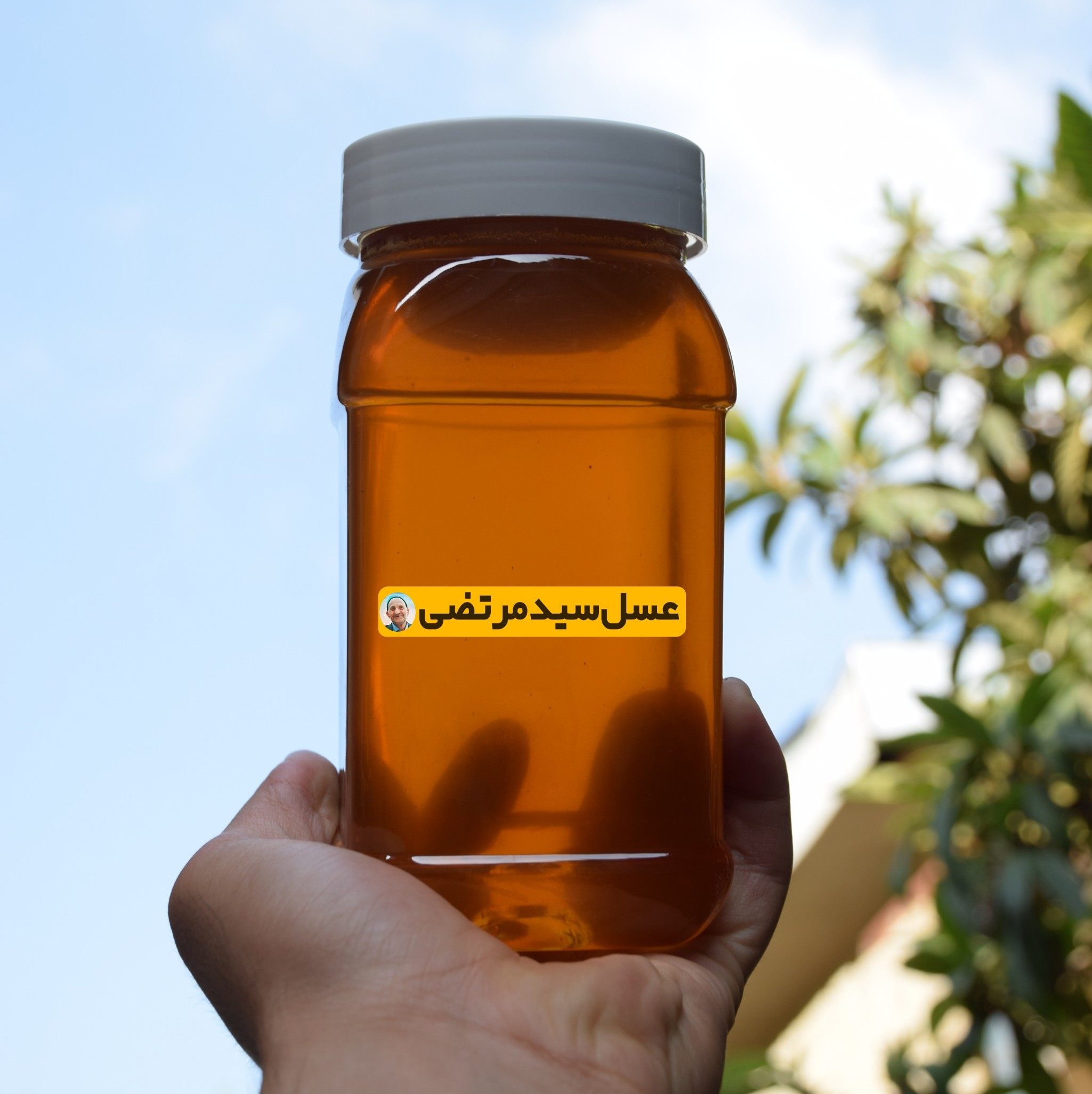 عسل جنگل