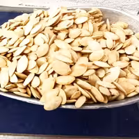 تخمه بو داده کدو تازه گوشتی