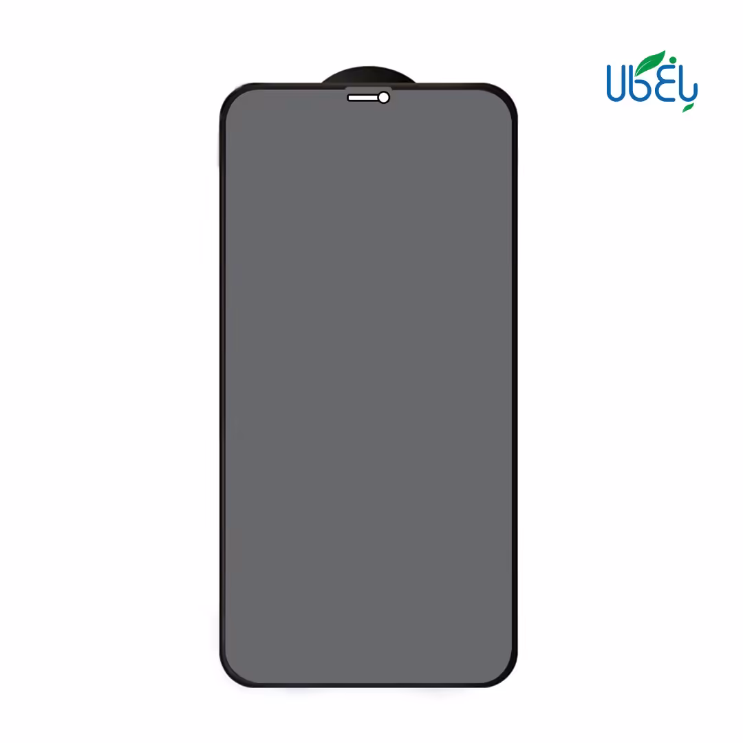 محافظ صفحه نمایش (گلس) Privacy مناسب گوشی iphone 11