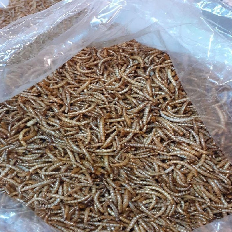 میلورم خشک درجه یک بسته 30 گرمی