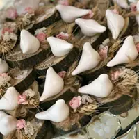 گیفت مرغ مینو 