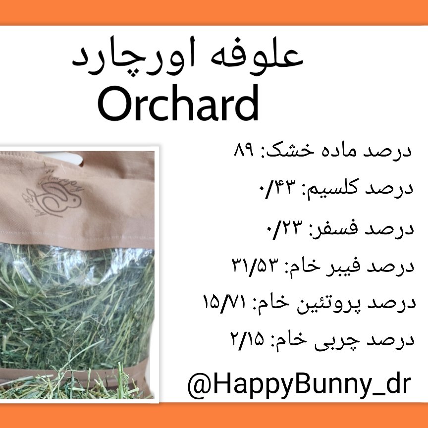 علوفه اورچارد