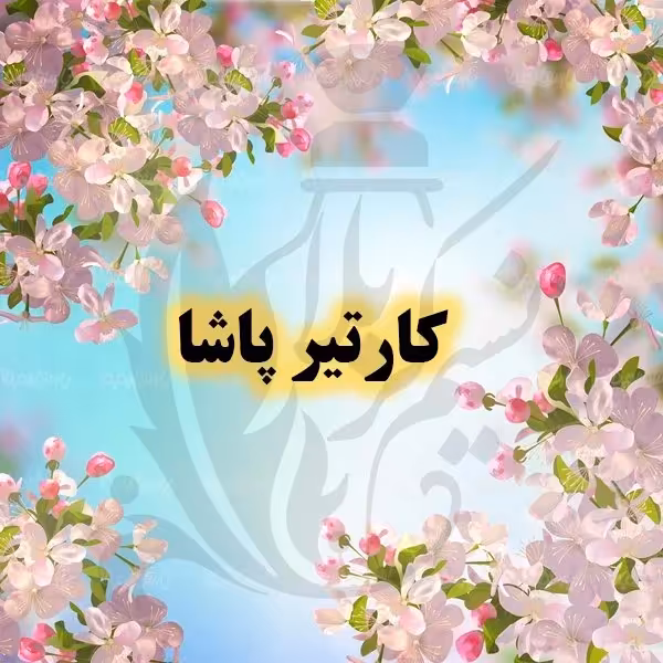 عطر کارتیر پاشا  کیفیت واقعا عالی و ماندگاری بالا و پخش بوی درجه یک(یک گرم)