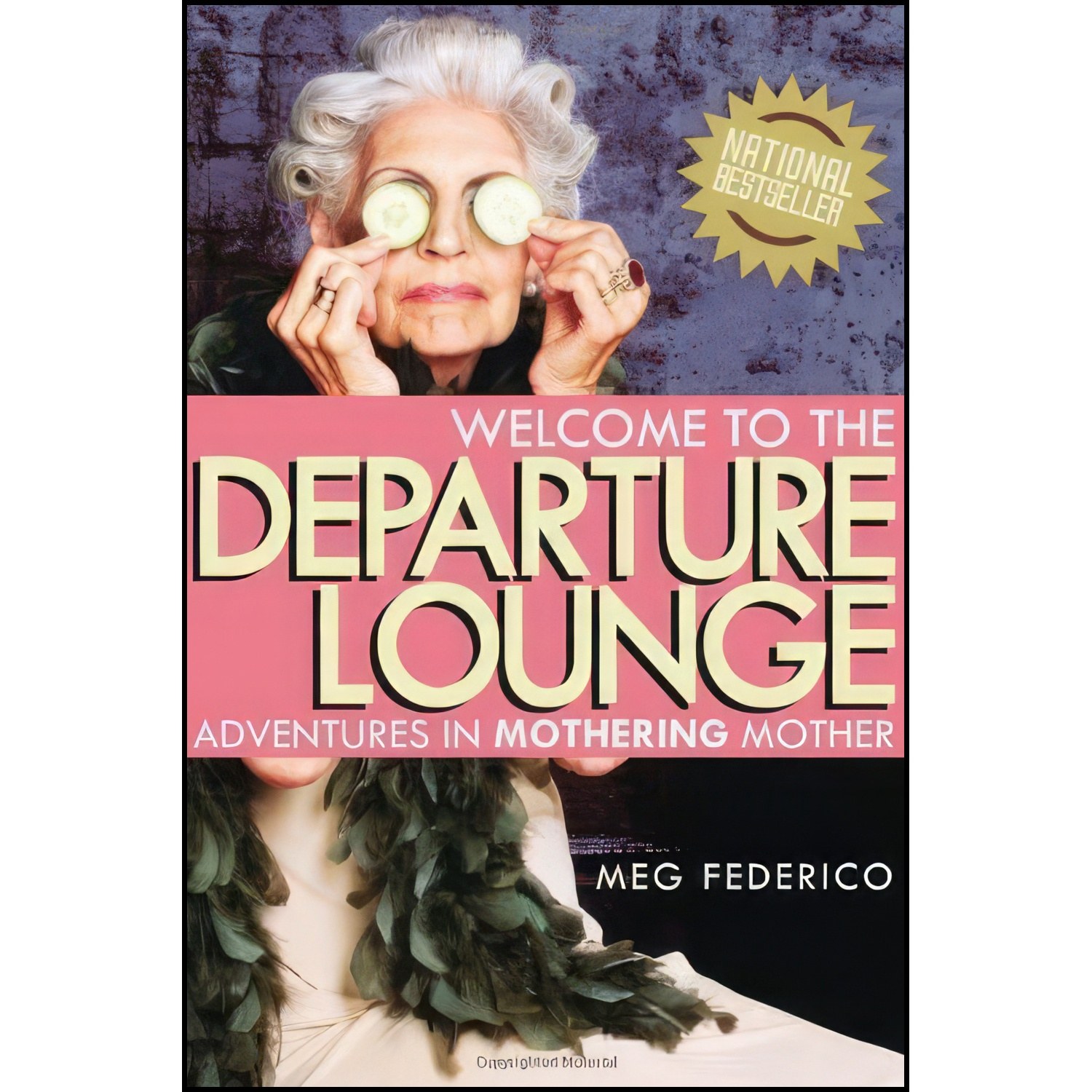 کتاب زبان اصلی Welcome to the Departure Lounge اثر Meg Federico