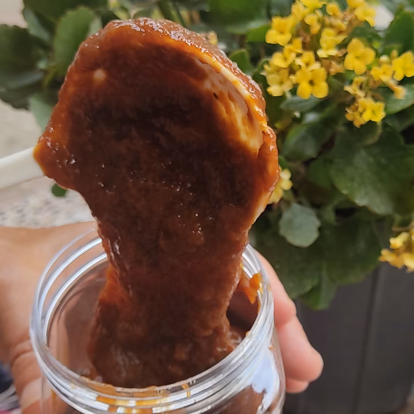 رب آلوچه ترش،خانگی 750گرم خالص