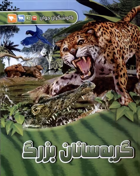 کتاب کاوشگران جوان گربه سانان بزرگ آبشن