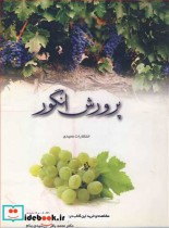 قیمت و خرید کتاب پرورش انگور اثر مهندس رسول کنعانی نوتاش و دکتر محمدباقر خورشیدی بنام | ایده بوک