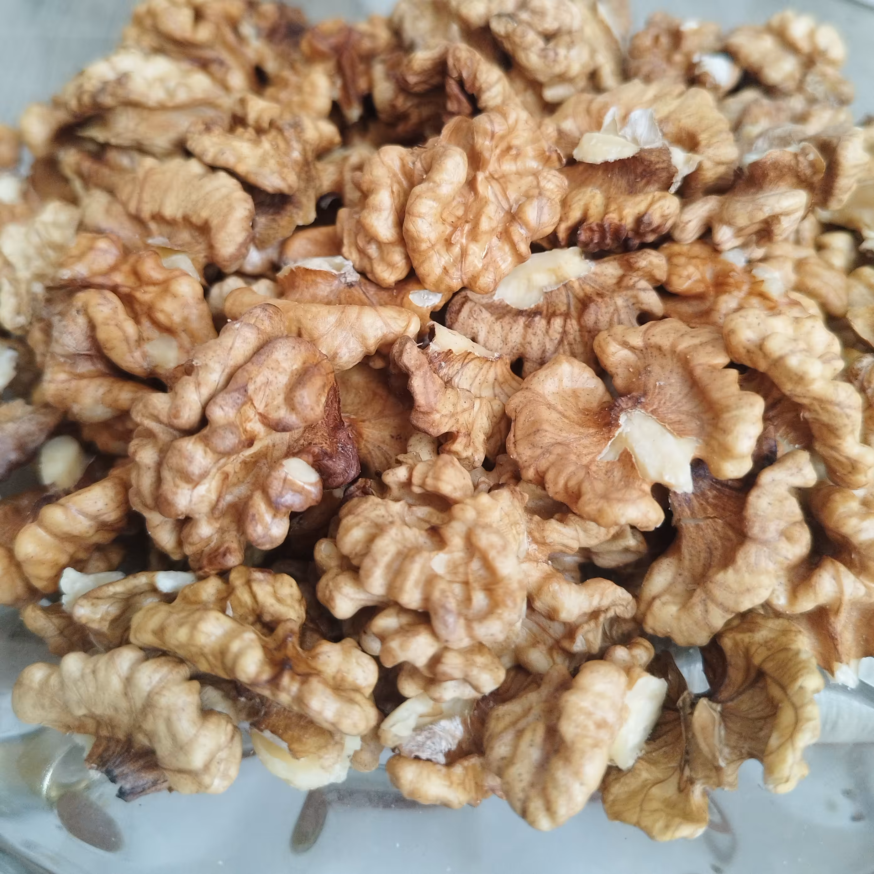 مغز گردو ایرانی . اقتصادی  مخصوص صبحانه  عسلی  کم رنگ یک کیلویی پر چرب و تازه  بهمن 1401 