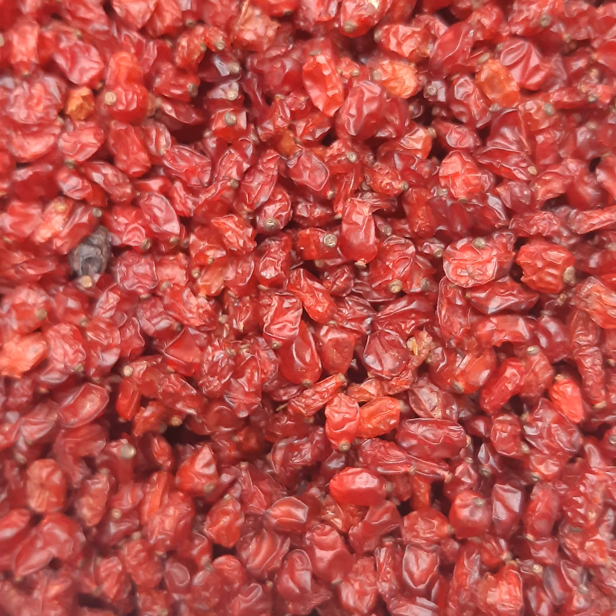 زرشک دانه اناری فوق اعلا