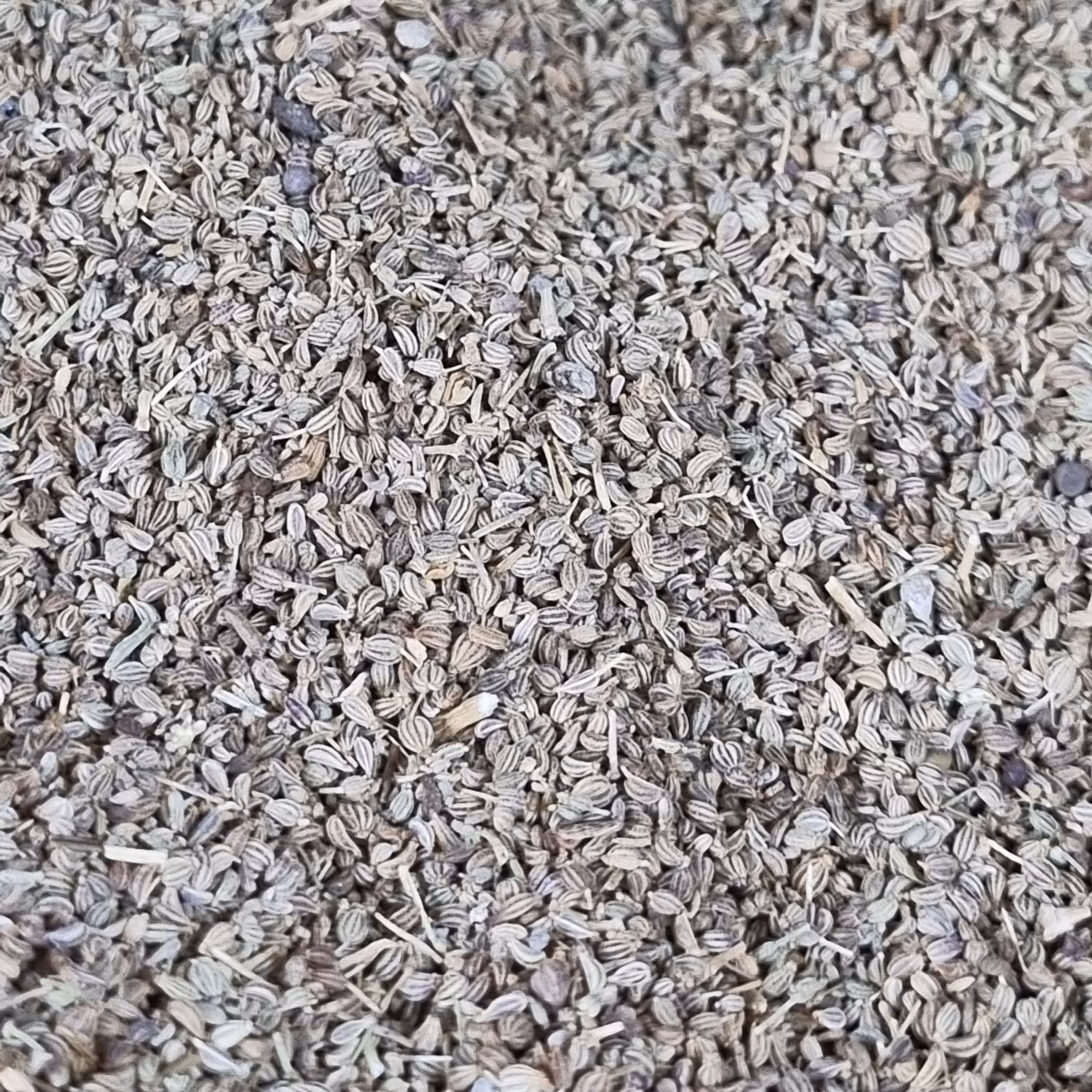 بهترین قیمت زنیان ( خردانه ) پنج کیلو بهترین قیمت