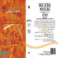 ساختار و عملکرد عضله اسکلتی نشر سمت