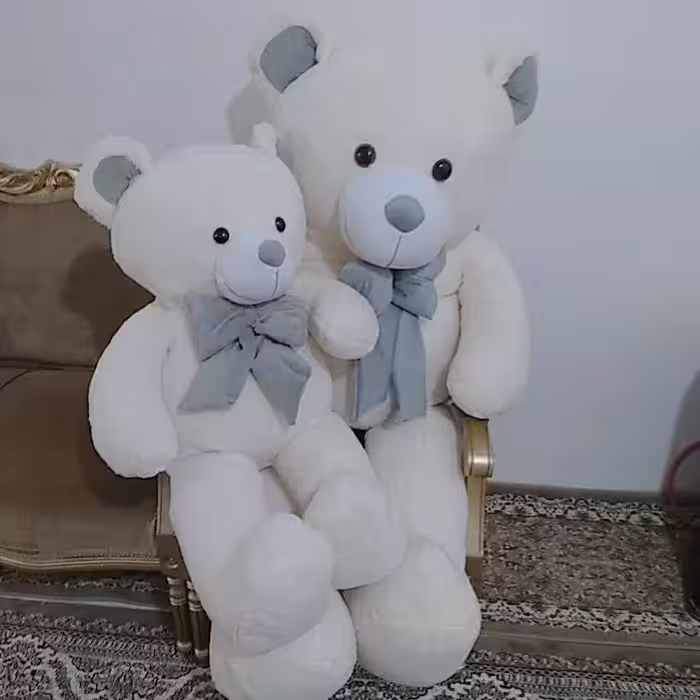 عروسک خرس ، شاسخین خرسی 