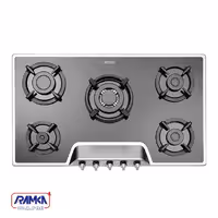 گاز صفحه ای استیل البرز مدل G-5951 si