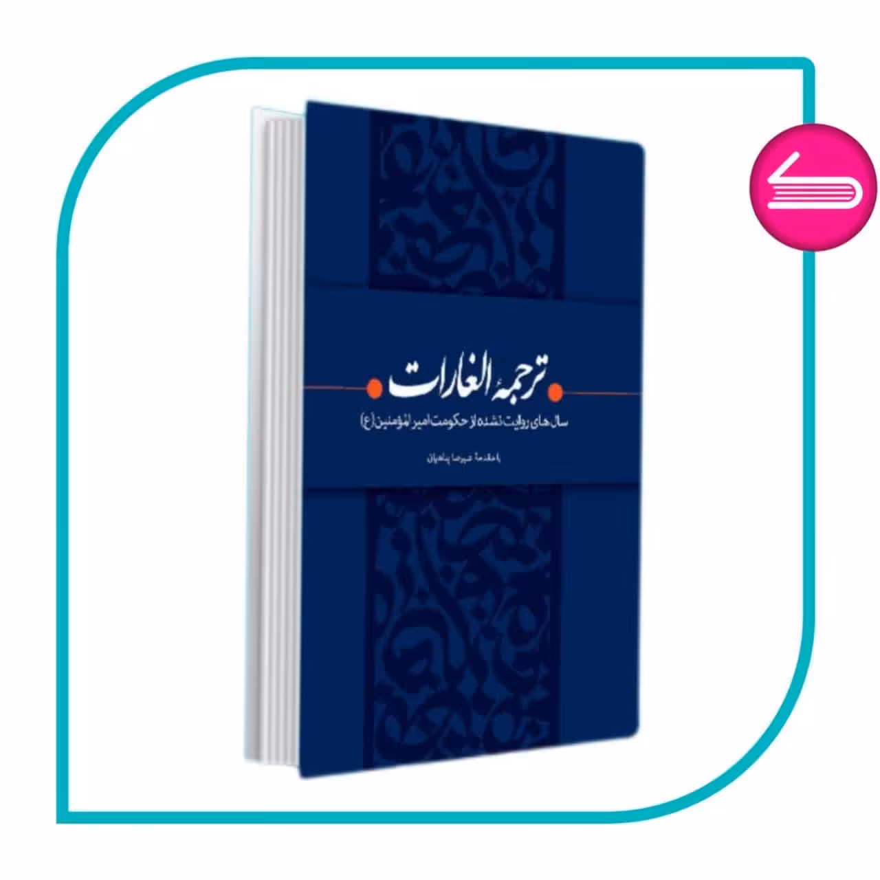 کتاب ترجمه الغارات   توصیه حجت الاسلام پناهیان سال های روایت نشده از حکومت امیرالمومنین ع پیشنهاد حاج قاسم