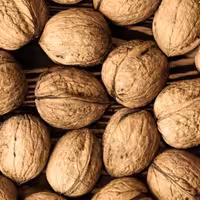 گردو  سوزنی درجه1(بدون شکسته-با کمترین مغز سیاه یا پوک و ریز ممکن ،طعم دار تره و غیر تراریخته)