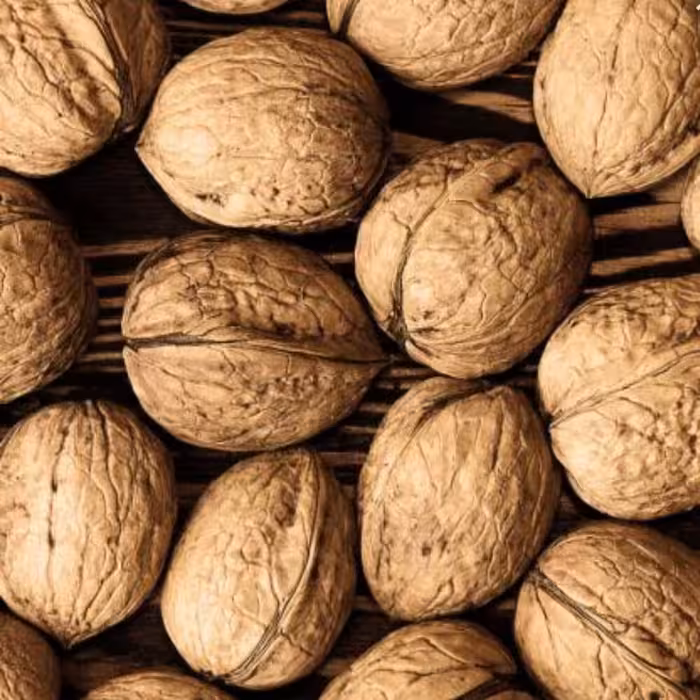 گردو  سوزنی درجه1(بدون شکسته-با کمترین مغز سیاه یا پوک و ریز ممکن ،طعم دار تره و غیر تراریخته)