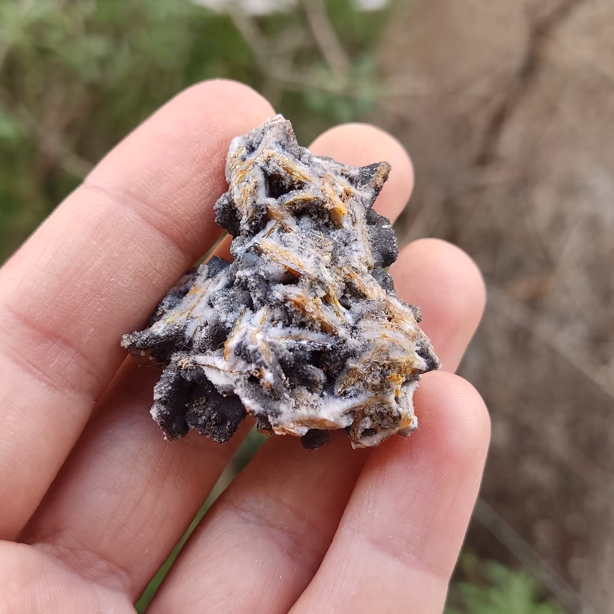 سنگ ولفونیت با همرشدی کلسیت کلکسیونی (کد39)