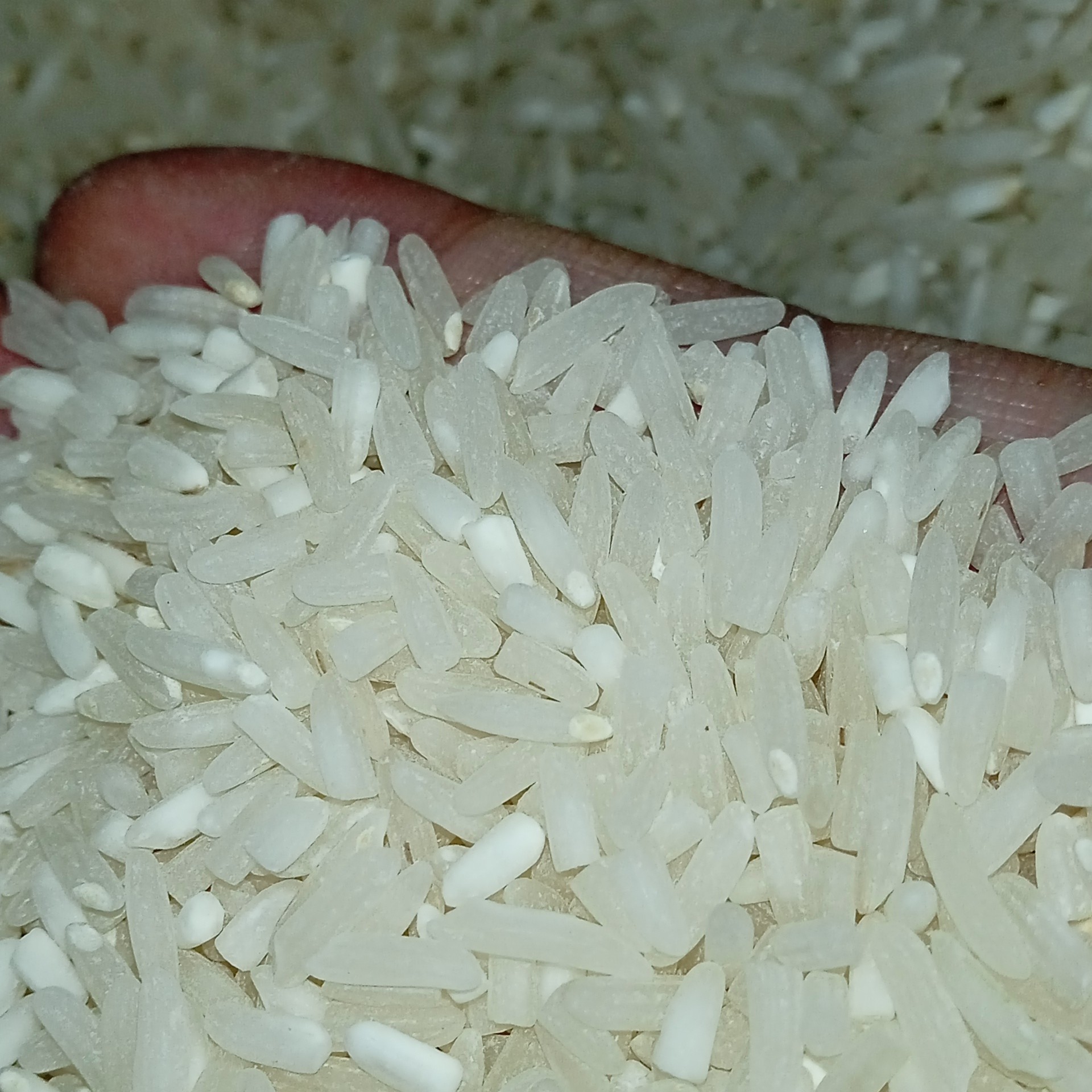 برنج لاشه  ایرانی (90 درصد)