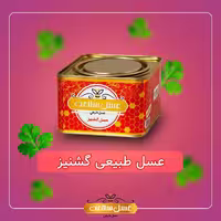 عسل گشنیز سلامت - 1000 گرم