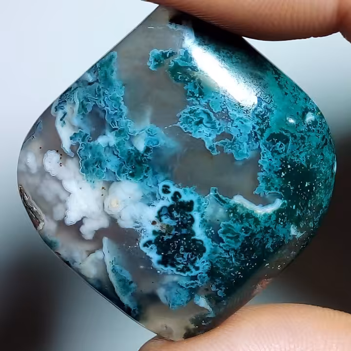 شجر بسیار زیبای بهاره