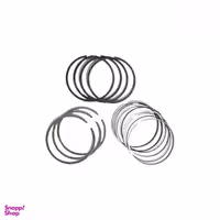 رینگ موتور ریک مدل 0/25 کد 01019 مناسب برای پراید بسته 20 عددی