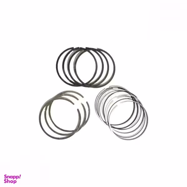 رینگ موتور ریک مدل 0/25 کد 01019 مناسب برای پراید بسته 20 عددی