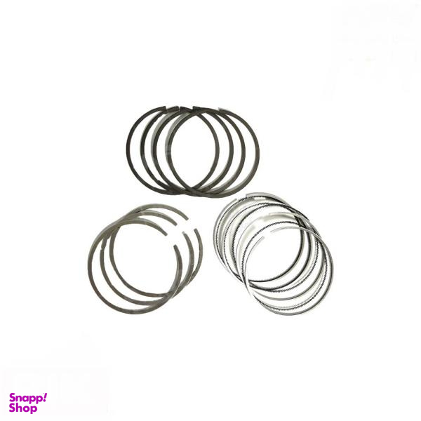 رینگ موتور ریک مدل 0/25 کد 01019 مناسب برای پراید بسته 20 عددی