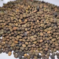 قره ماش یک کیلویی اردبیل پاک شده و بوجاری شده ارگانیک 