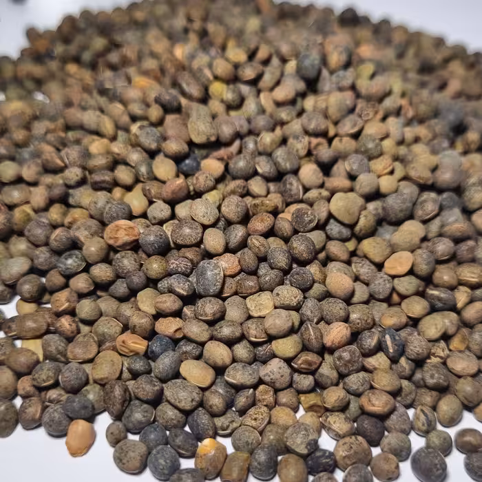 قره ماش یک کیلویی اردبیل پاک شده و بوجاری شده ارگانیک 