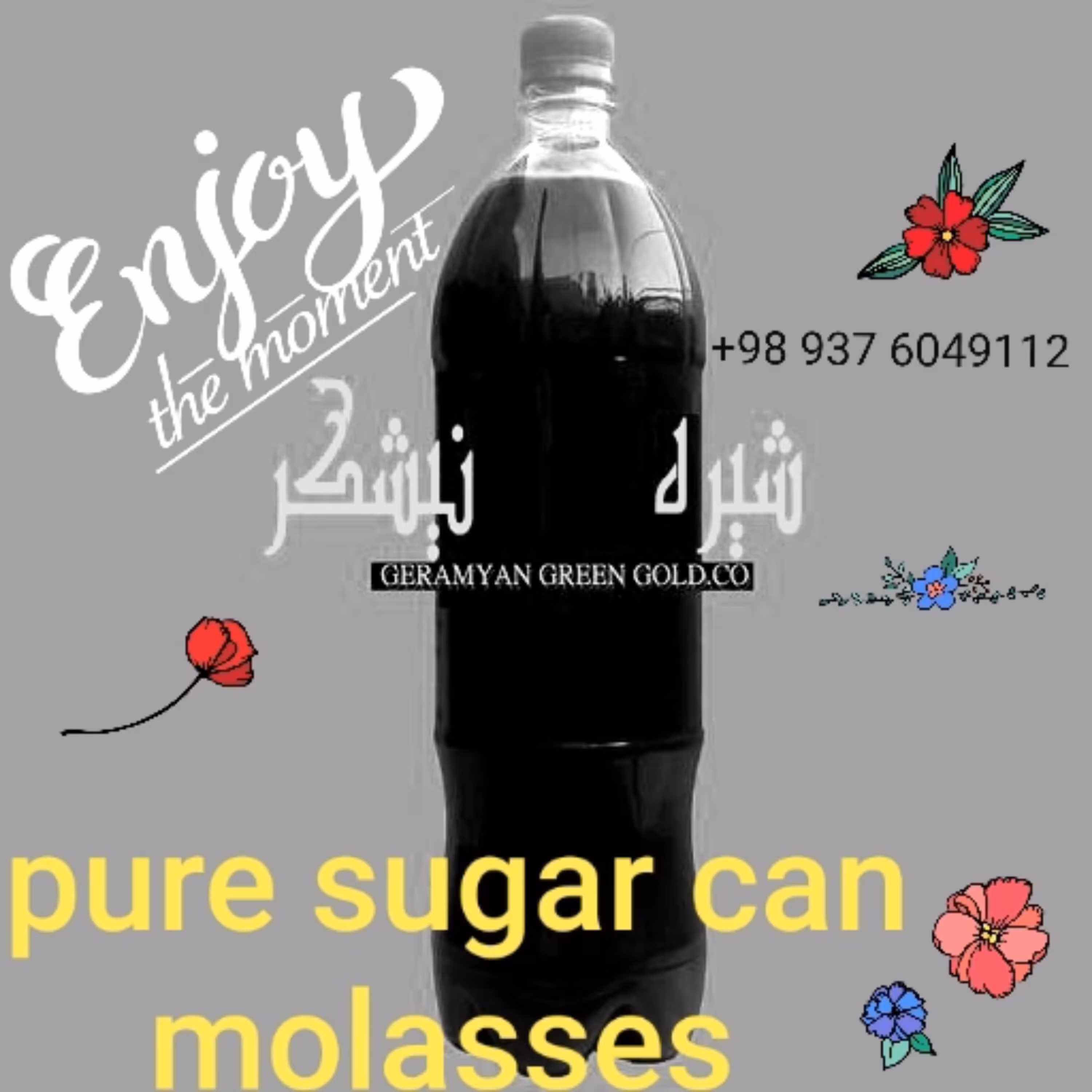 ملاس نیشکر به گیاه خواران برای کمبود آهن بخاطر خام خواری و گیاه خواری بشدت توصیه